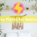Vastu Plants for Bedroom