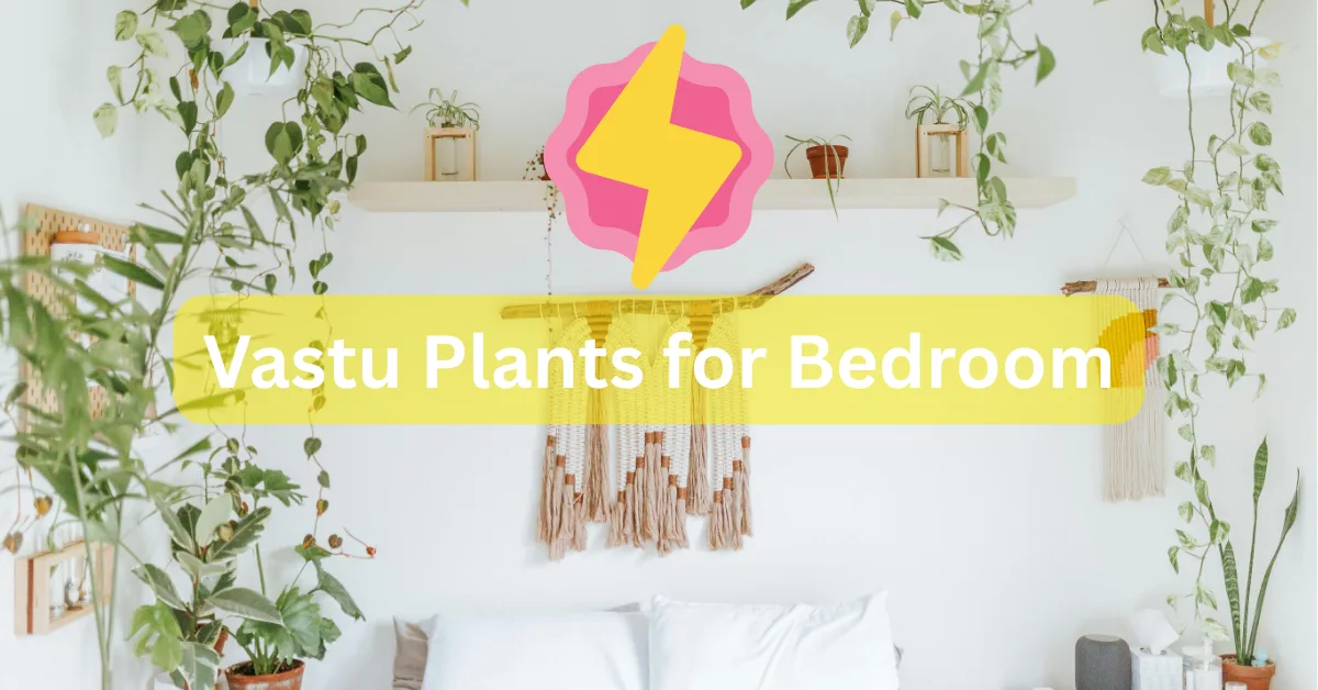 Vastu Plants for Bedroom